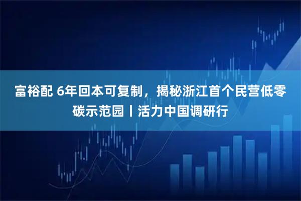 富裕配 6年回本可复制，揭秘浙江首个民营低零碳示范园丨活力中国调研行